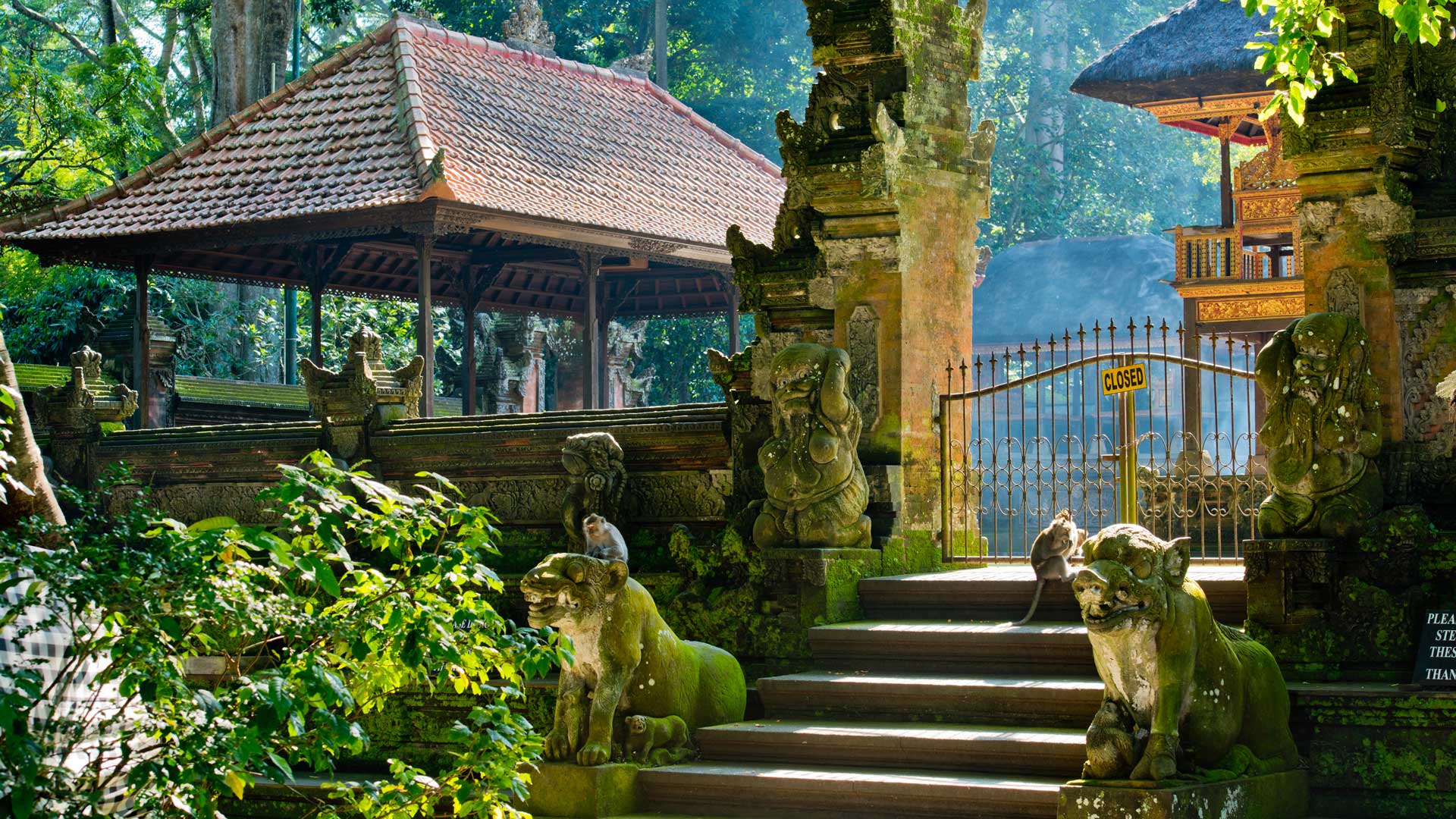 Ubud Travel Guide - Ultimate Bali